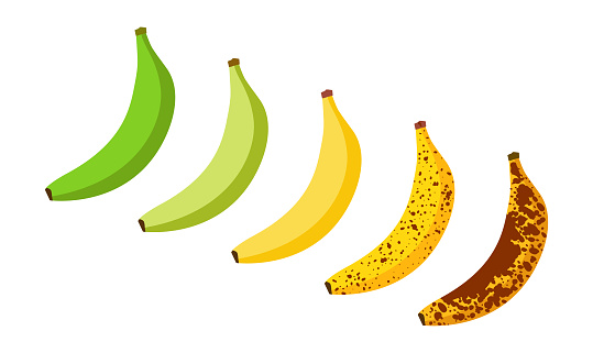 Banana ripeness fruit illustration green mature bad food. Banana ripe vector icon.