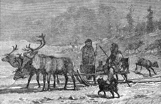 Two Sámi people with a reindeer sleigh. Vintage etching circa 19th century.