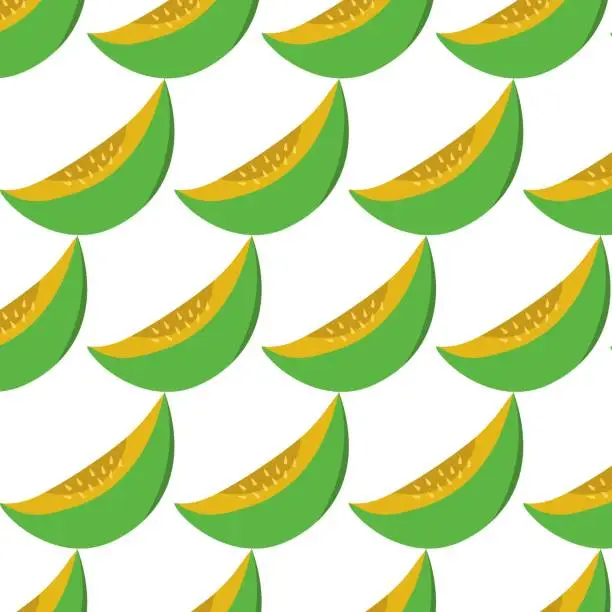 Vector illustration of Melon fruit summer pattern