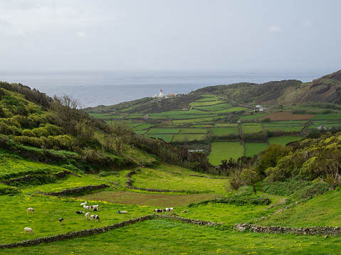 Terceira Island rural landscape and Farol das Contendas, Azores