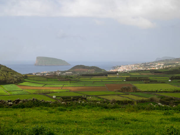 istock Agricultural fields of Terceira Island 2025855146