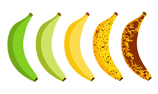 Banana ripeness fruit illustration green mature bad food. Banana ripe vector icon.
