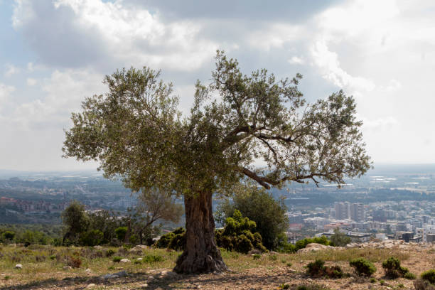 istock Beautiful landscape, view, landscape, inspiring 2025897944