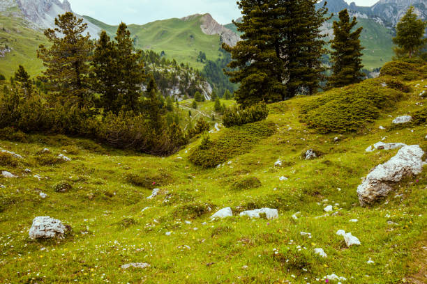 Innsbruck Nordkette Mountain View
