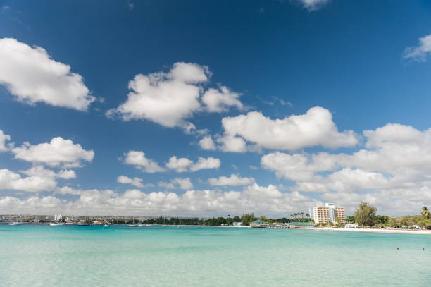 Beach in Barbados Island. Caribbean Sea