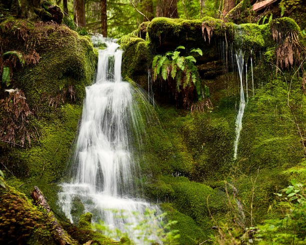 Brilliant green moss surrounds a silkly white waterfall as it cascades down a cliff in a local park.