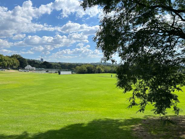 istock Green Fields of Zoo Lake 2025990824