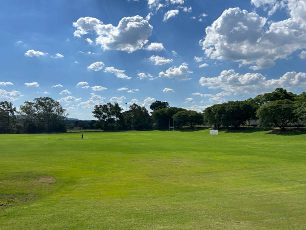 istock Green Fields of Zoo Lake 2025992980