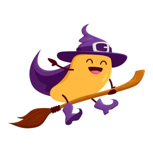 Vector illustration of Cartoon mango fruit wizard riding broomstick