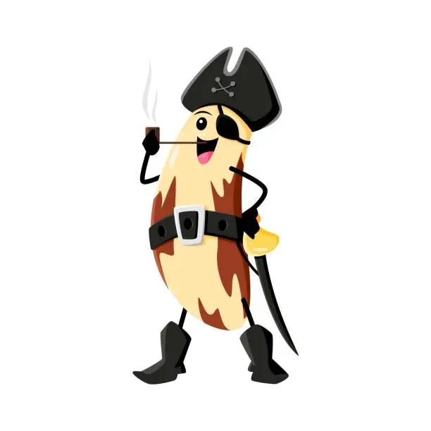 Vector illustration of Cartoon brazil nut pirate dressed in captain hat