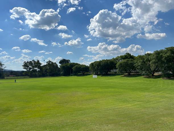 istock Green Fields of Zoo Lake 2025994169