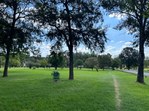 istock Green Fields of Zoo Lake 2025994195