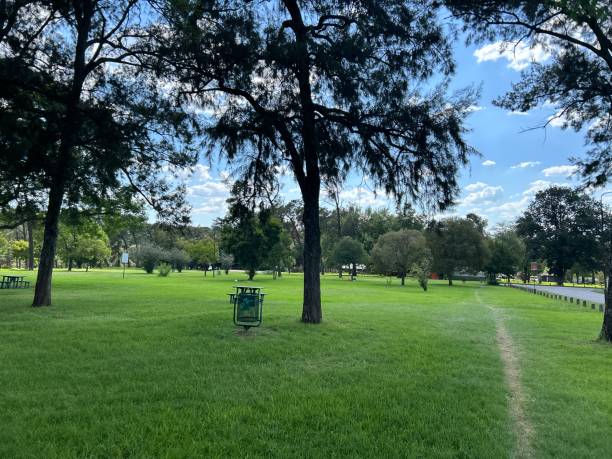 istock Green Fields of Zoo Lake 2025994743
