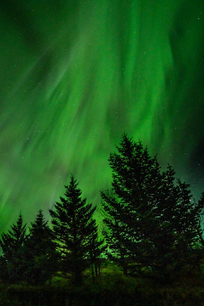istock Northern lights on an autumn night in Iceland. 2025997910