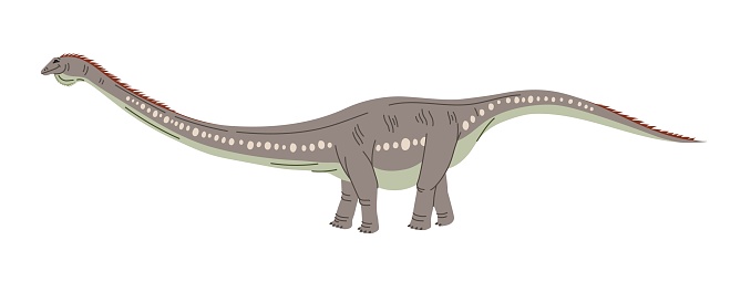 Haplocanthosaurus spined lizard sauropod dinosaur with long tail and spines on back isolated ancient animal. Vector dinosaur cartoon character