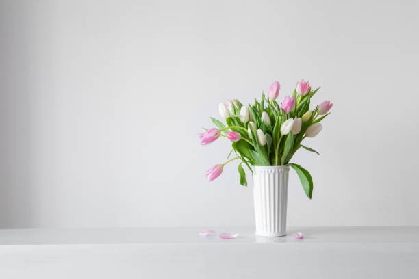 istock white and pink   tulips in white vase on background wall 2026019118