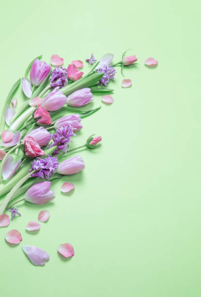 istock spring flowers on green paper background 2026019119