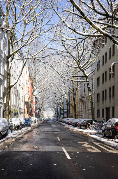 istock Snow-dusted trees line a clear urban road 2026022815