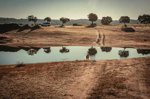 Landscape of the Pego do Altar Dam Reservoir in Santa Susana Alentejo