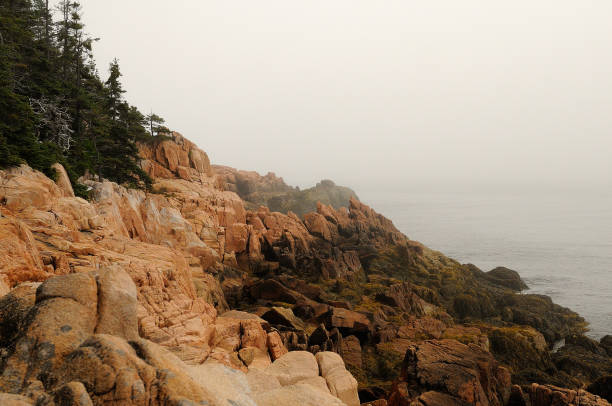 The Bass Harbor in the morning mist, Maine , USA