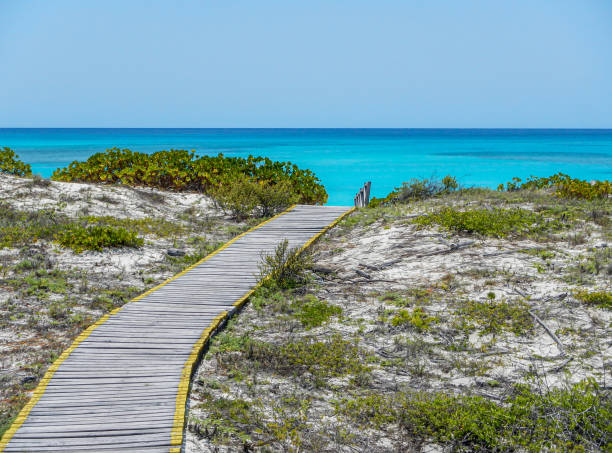 Footpath to the tropical sea of Cuba, Caribbean