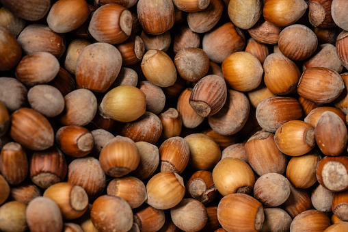 Large pile of hazelnuts in winter