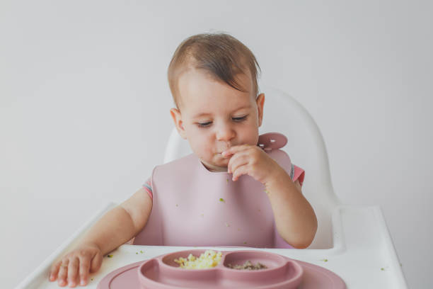 istock little cute girl eats complementary foods in a highchair 2026052116