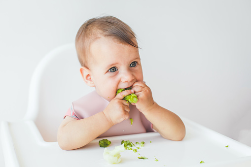 baby little girl 8 months old sits in a high chair and eats complementary foods green broccoli, close-up portrait looks at the camera. baby food concept.