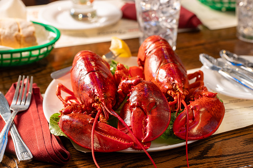 two whole lobsters dinner with fresh bread, butter