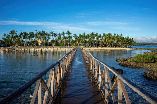 Gateway to Paradise: Wooden Pier Leading to a Palm-Fringed Shoreline