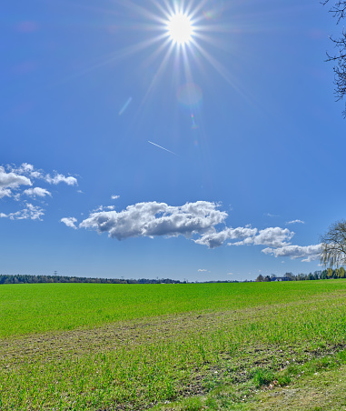 Blue sky and green fields in spring springtime Background and copy space - farmland