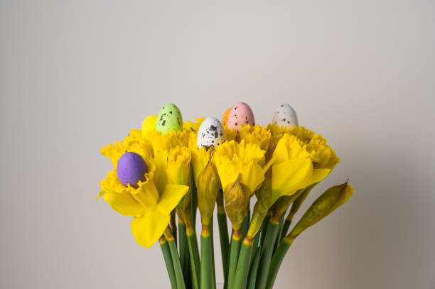 istock Easter eggs in pastel colors and daffodils on white background 2026086421