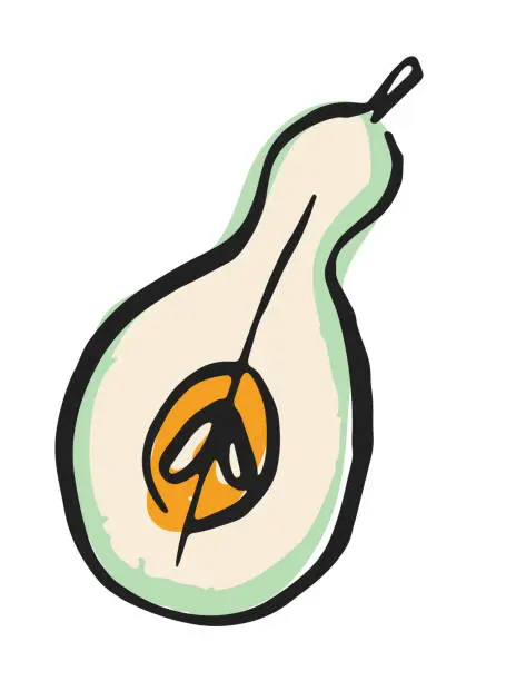 Vector illustration of Hand Drawn Vegetable On A Transparent Background - Pear