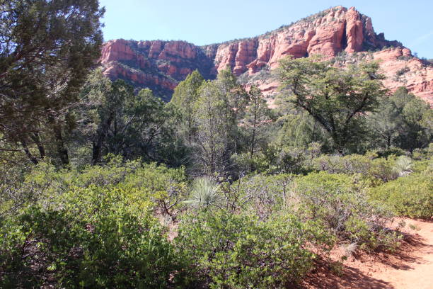 istock Sedona Hiking 2026114797