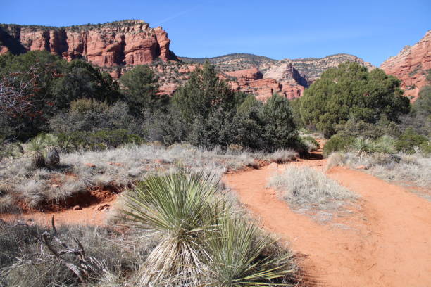 istock Sedona Hiking 2026115316