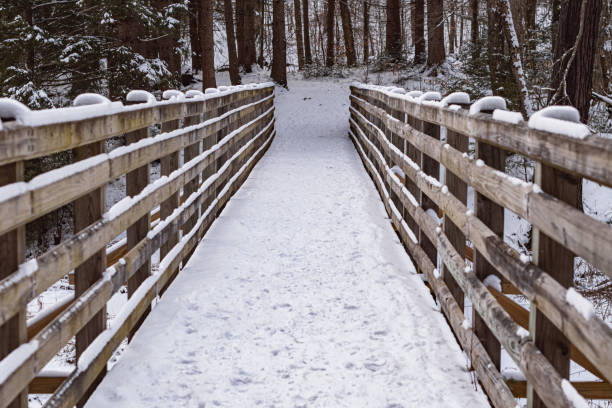 istock park benches covered in snow 2026119568