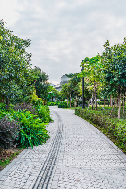 istock Public Park in West Kowloon, hong kong 2026258740