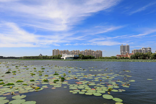 istock Beautiful waterfront city scenery under blue sky and white clouds, North China 2026278488