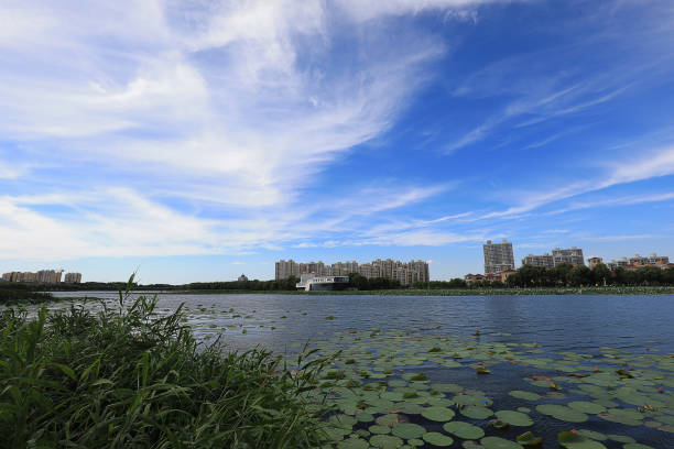 istock Beautiful waterfront city scenery under blue sky and white clouds, North China 2026278489