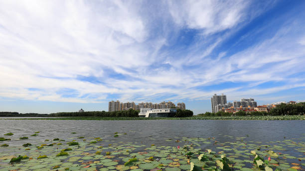 istock Beautiful waterfront city scenery under blue sky and white clouds, North China 2026279007