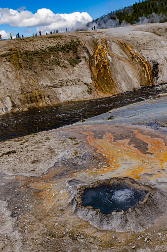 Boiling water bubbler Geyser. Active geyser with major eruptions. Yellowstone NP, Wyoming, USA