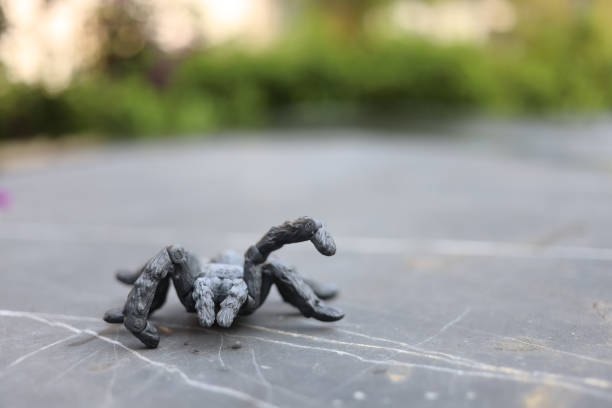 the  big scale toy spide on the outdoor