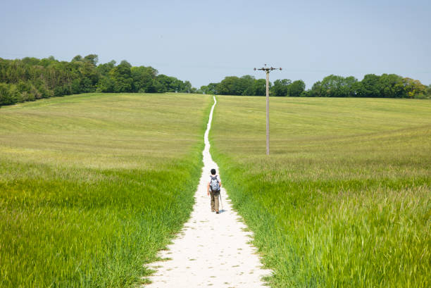 Indian Asian woman hiking alone along a white chalk footpath through a field in English countryside. Chiltern Hills, Aylesbury, Buckinghamshire, UK