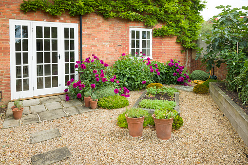 Little pine wooden cottage with curtains, buxus ball, hornbeam hedge,garden path with pebbles  and lawn with daisies in spring.Poplar trees in the background.