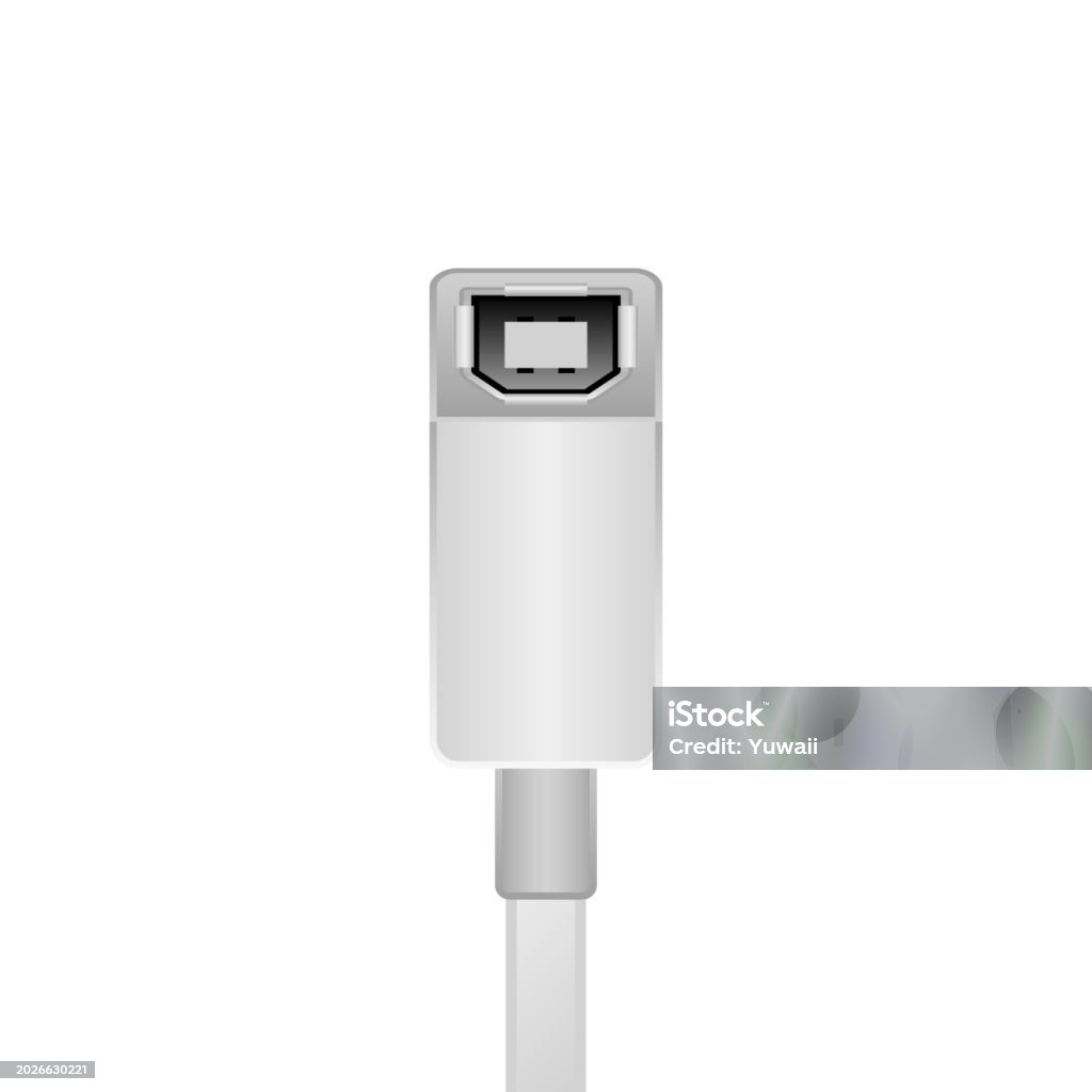 Usb B Vector Simple Illustration Of A White Usb Typeb 20 Female Stock Illustration ...