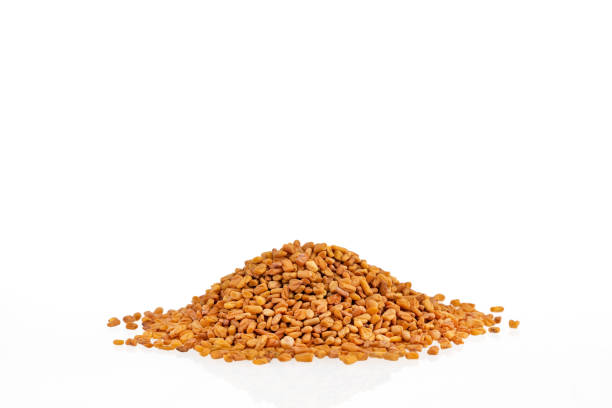 istock Raw fenugreek seeds - Trigonella foenum - graecum 2026662070