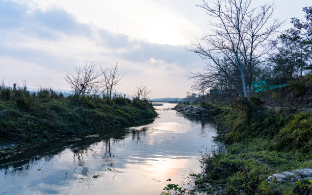 istock Landscape view of river in middle of forest 2026697382