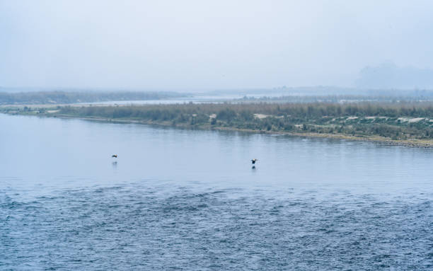 istock morning view of Rapti river in Chitwan, 2026699432