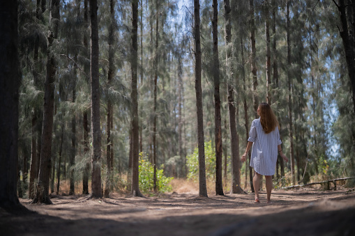 Young Asian woman walking into pine forest, looking up, fulfill with freshness, feeling of nature, wind, and sun, realize the important of nature. Lady feeling with green blur background and copy space.