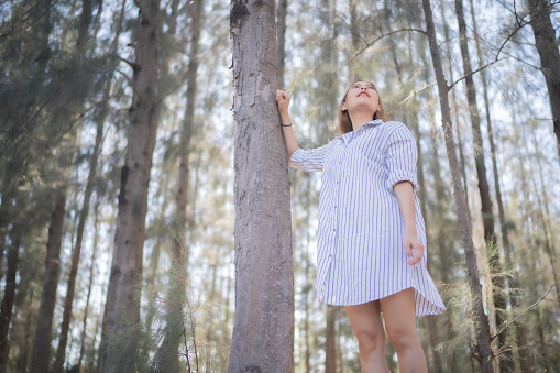 Young Asian woman walking into pine forest, looking up, fulfill with freshness, leaning arm with pine tree, feeling of nature, wind, and sun, realize the important of nature. Lady feeling with green blur background and copy space.